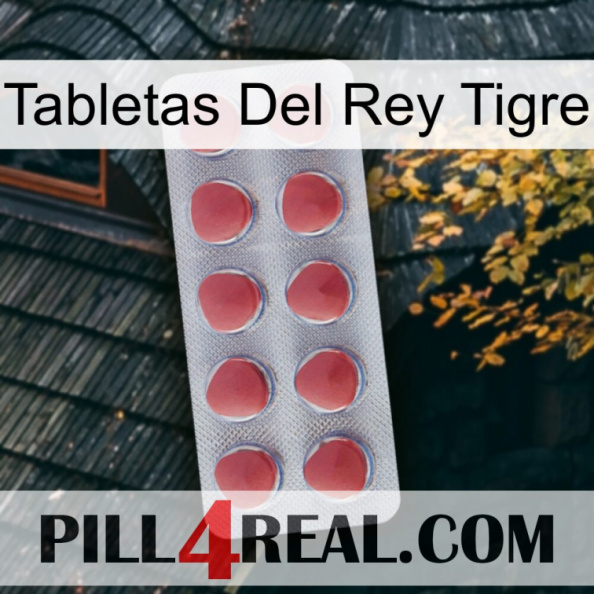 Tiger King Tablets 18.jpg